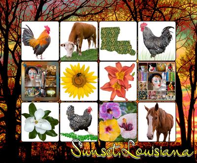 collage_of_town_of_sunset